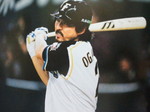 michihiro ogasawara